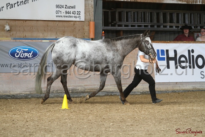 24-ApHC HIH_034.jpg